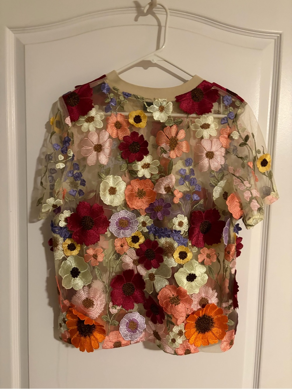 VICI Sheer Floral Appliqué Top - Red, Pink, Orange, Purple, Yellow, Cream - Picture 2 of 2